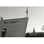 Liberty Island, New York 2011